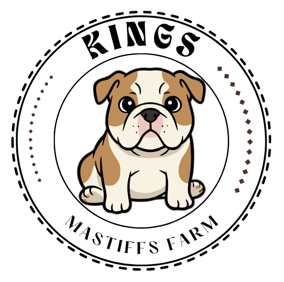 Healthy Mastiff Puppies | kingsmastiffsfarm.com